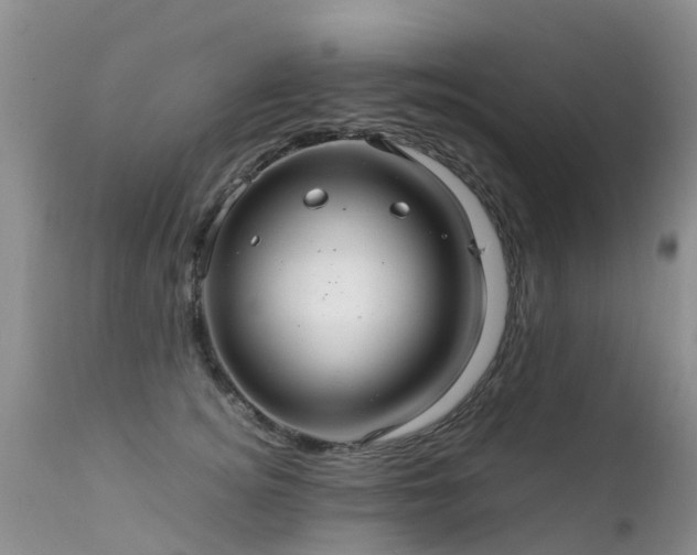 X0000112110756200908111442