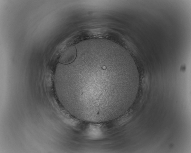 X0000112110757200908111442