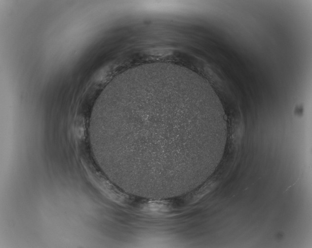 X0000112110758200908111442