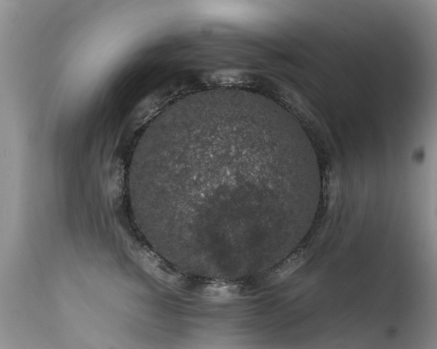 X0000112110760200908111442