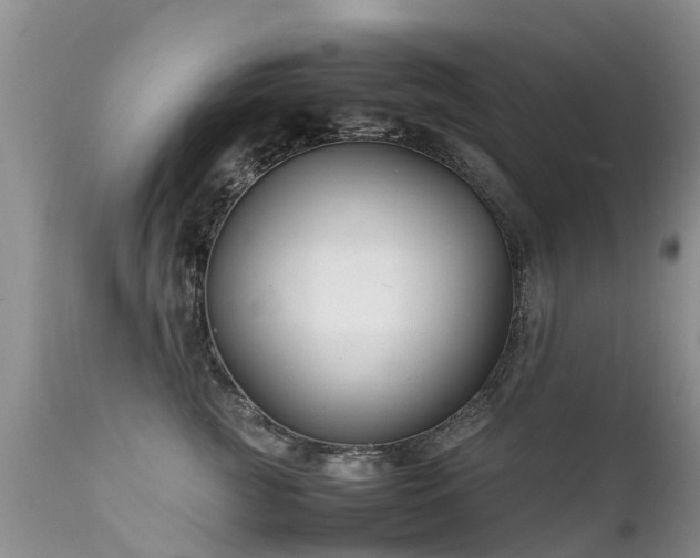 X0000112110761200908111442