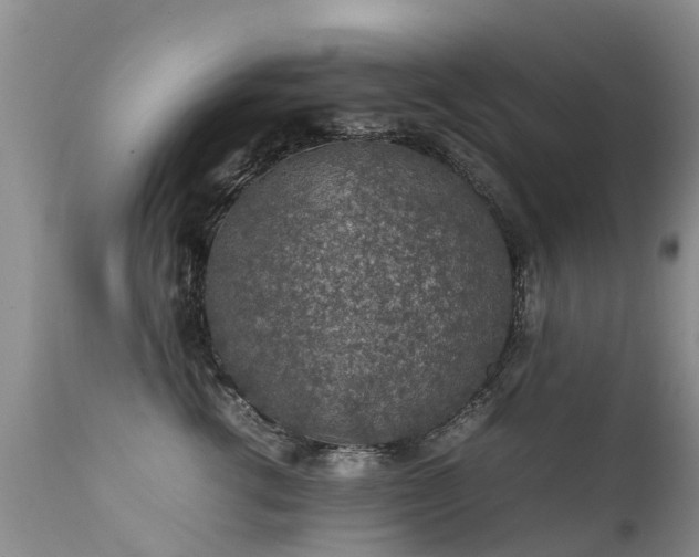 X0000112110762200908111442