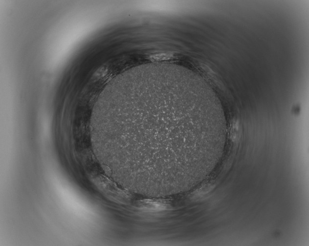 X0000112110763200908111442