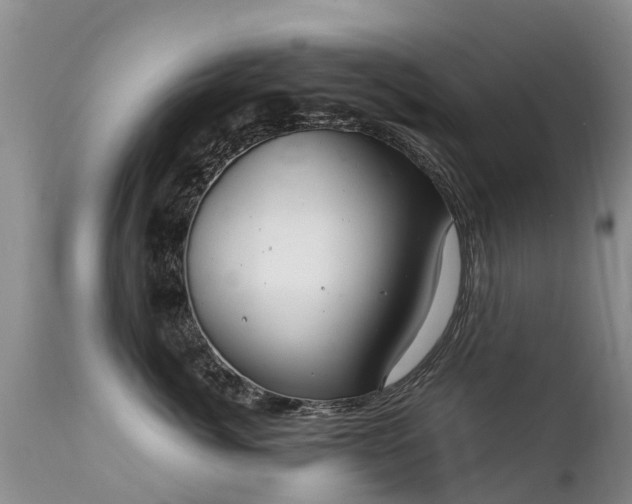 X0000112110764200908111442