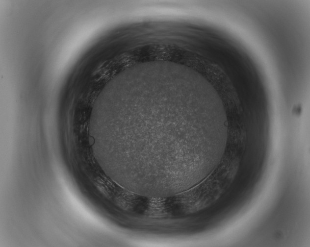 X0000112110766200908111442