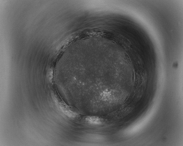 X0000112110767200908111442