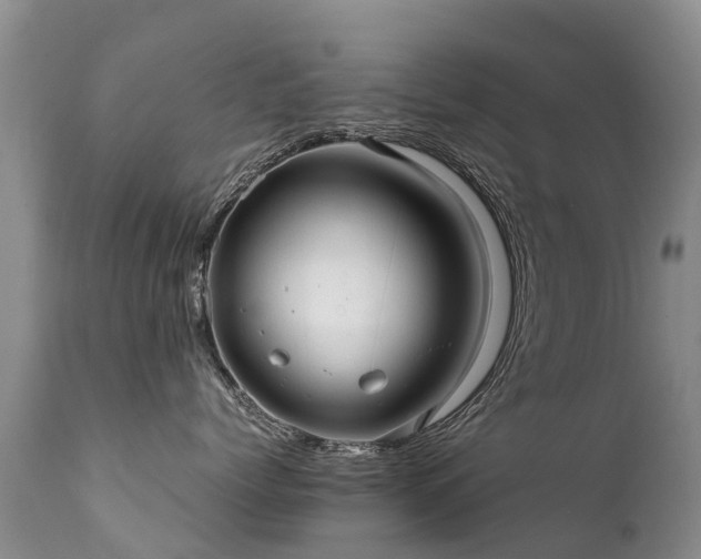 X0000112110768200908111442