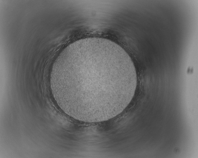 X0000112110769200908111441