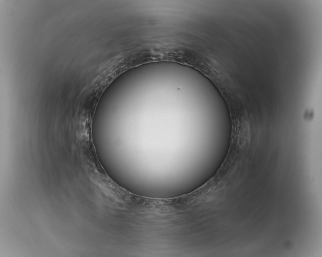 X0000112110770200908111441