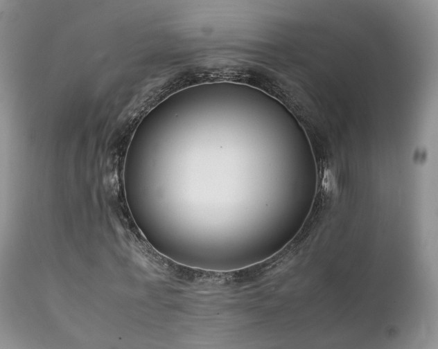 X0000112110771200908111441