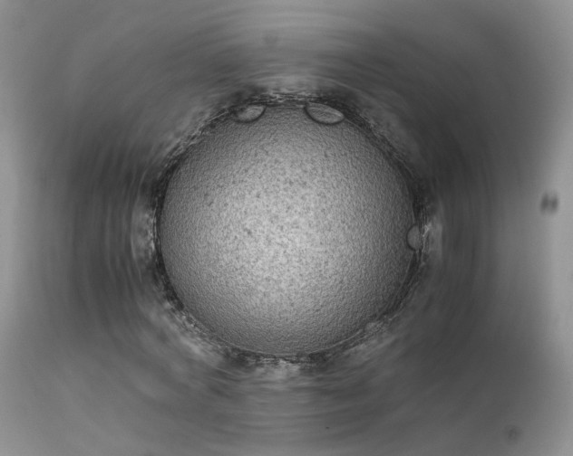 X0000112110772200908111441