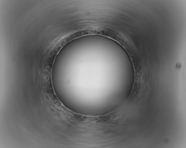 X0000112110773200908111441