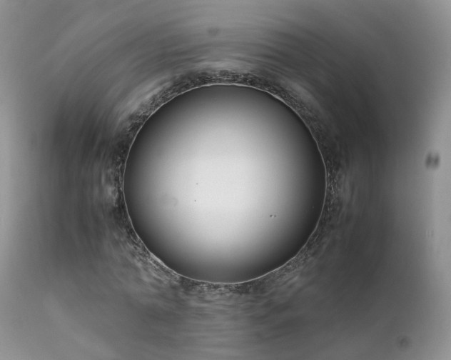 X0000112110774200908111441