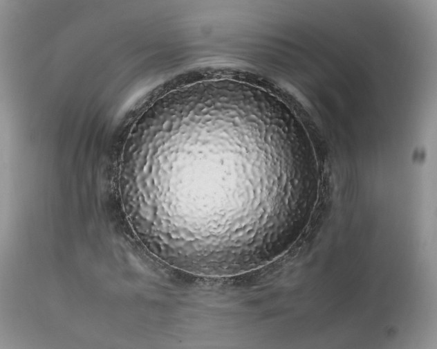 X0000112110775200908111441