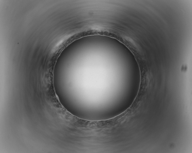 X0000112110776200908111441