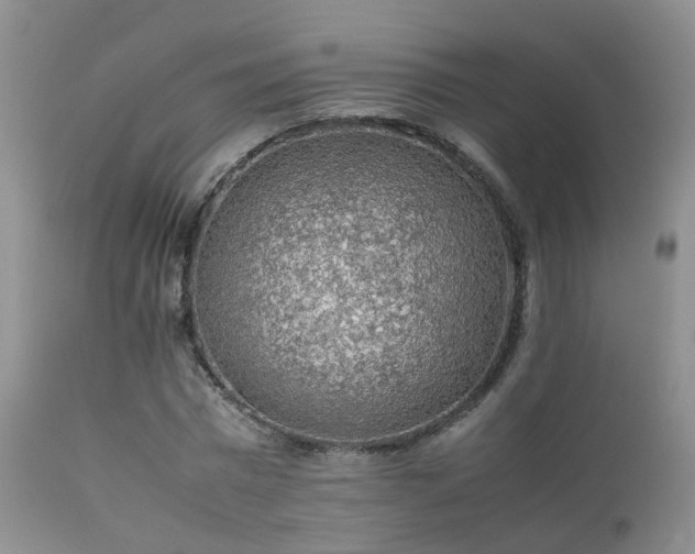 X0000112110777200908111441