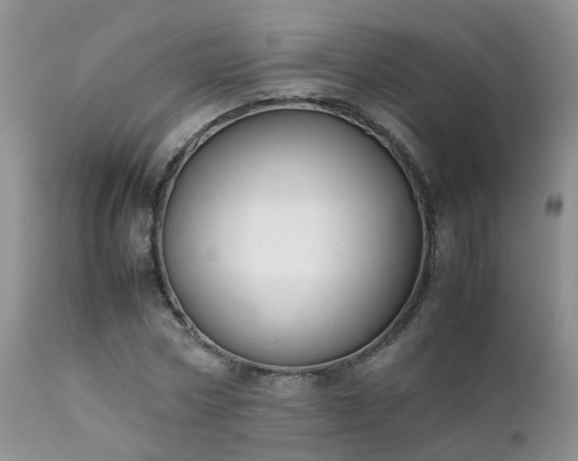 X0000112110778200908111441