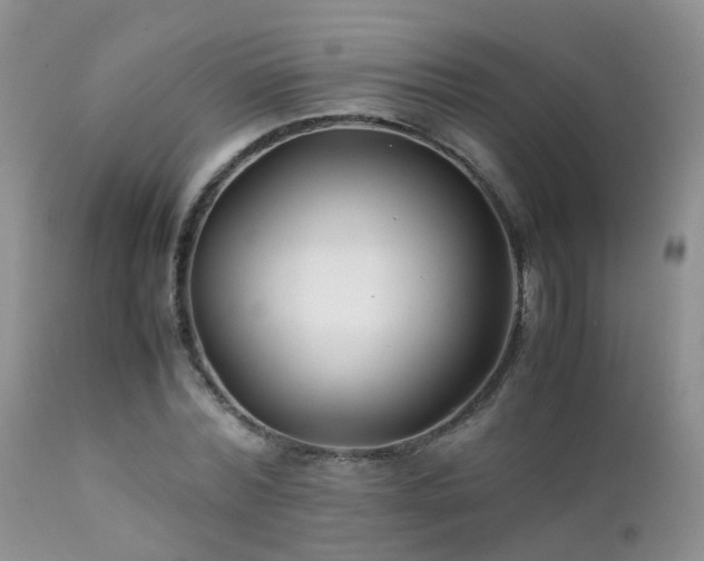 X0000112110780200908111441