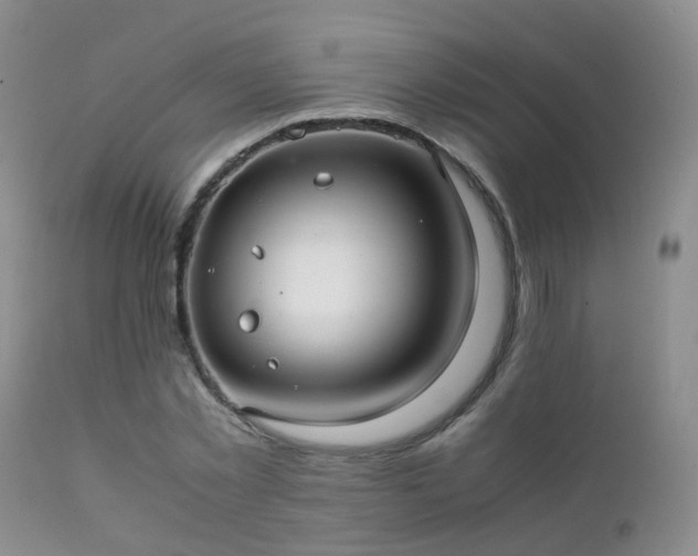 X0000112110781200908111441