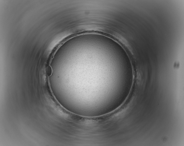 X0000112110782200908111441