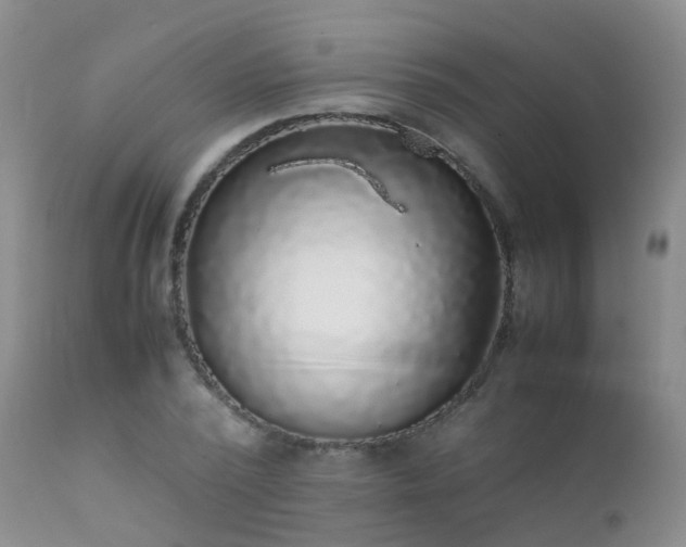 X0000112110784200908111441