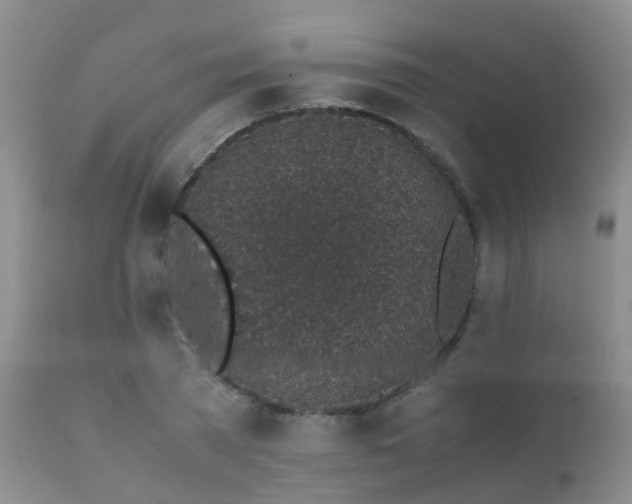 X0000112110785200908111441