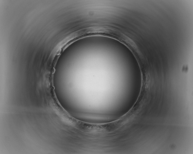 X0000112110786200908111441