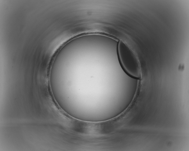 X0000112110789200908111441