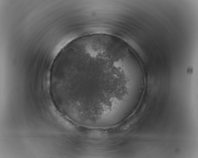 X0000112110790200908111441