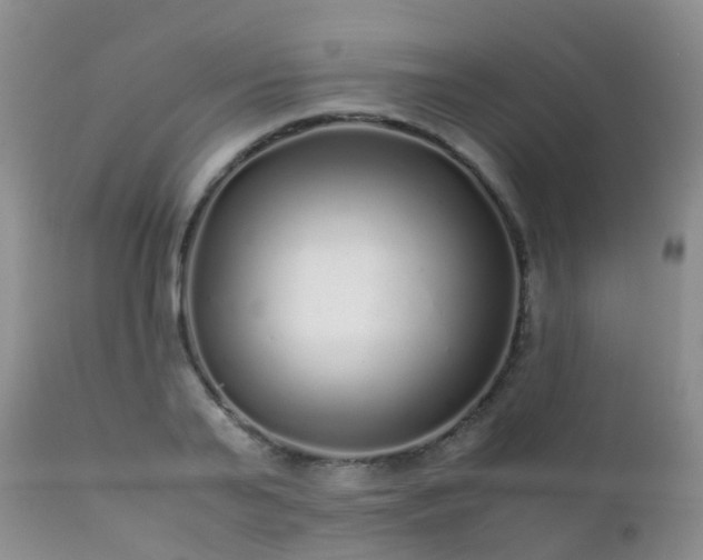 X0000112110791200908111441