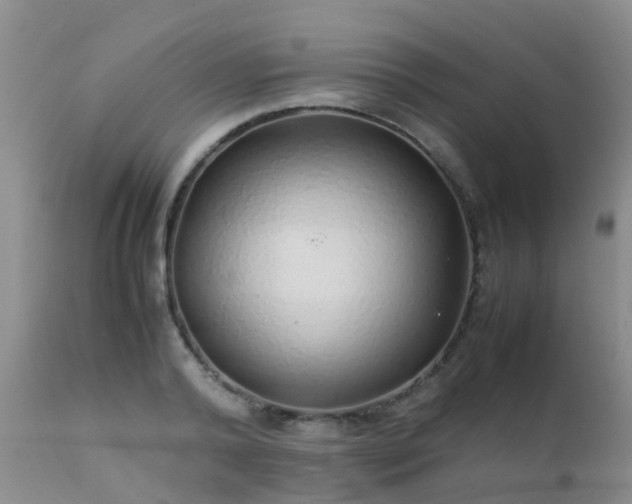 X0000112110792200908111441