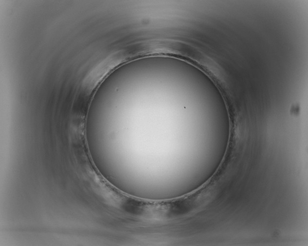 X0000112110793200908111441