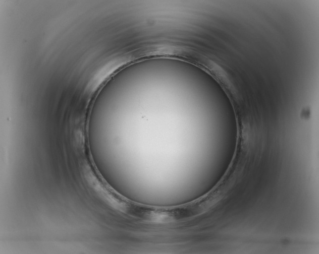 X0000112110794200908111441