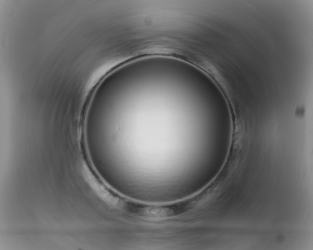 X0000112110795200908111441