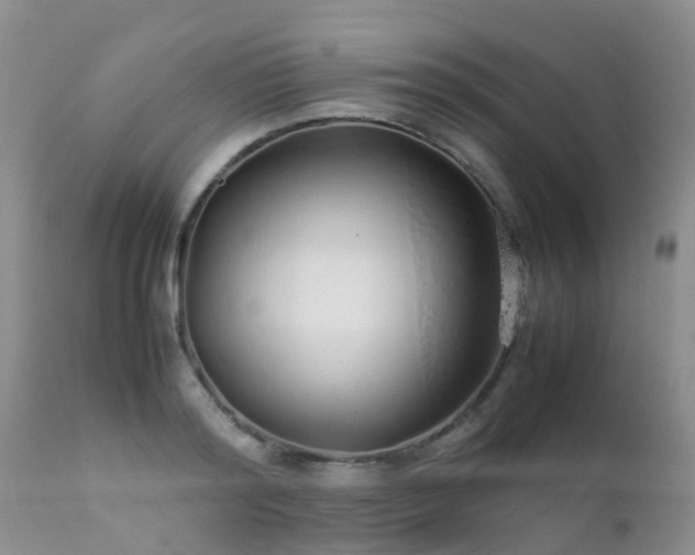 X0000112110796200908111441