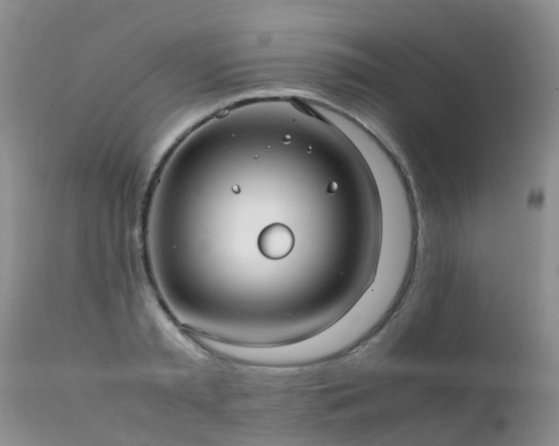 X0000112110797200908111441