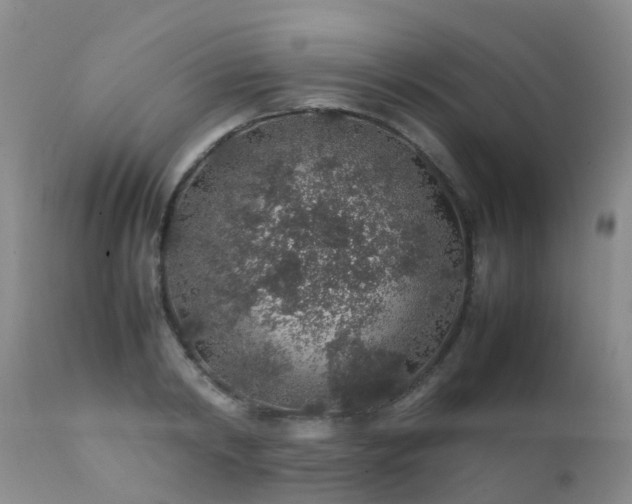 X0000112110798200908111441