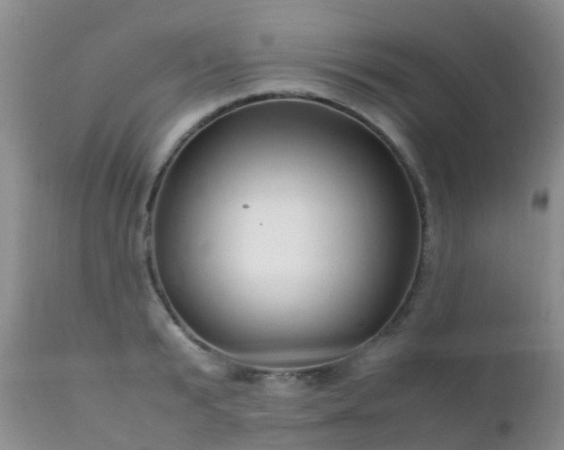 X0000112110799200908111441