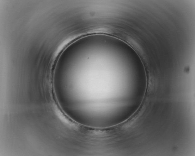 X0000112110800200908111441