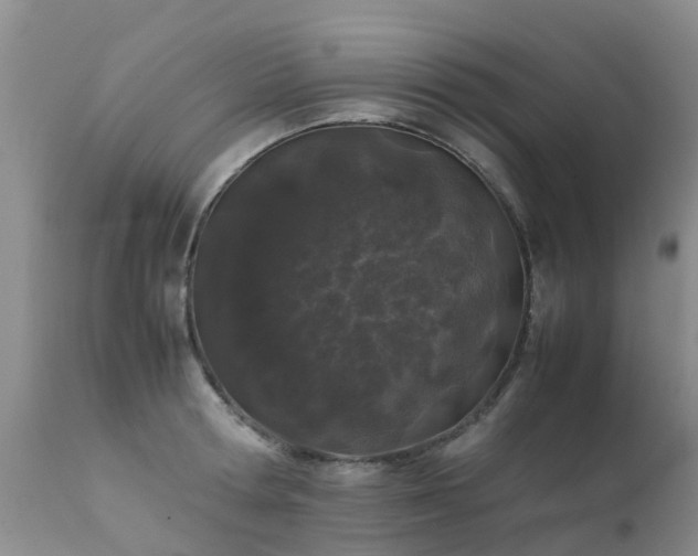 X0000112110802200908111441