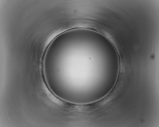 X0000112110803200908111441