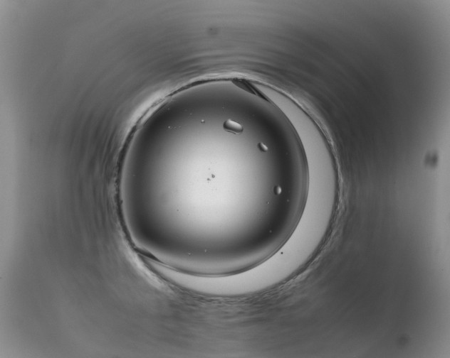 X0000112110805200908111441