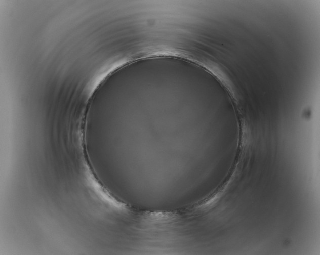 X0000112110806200908111441