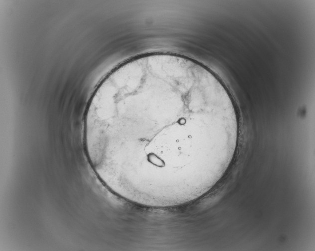 X0000112110807200908111441