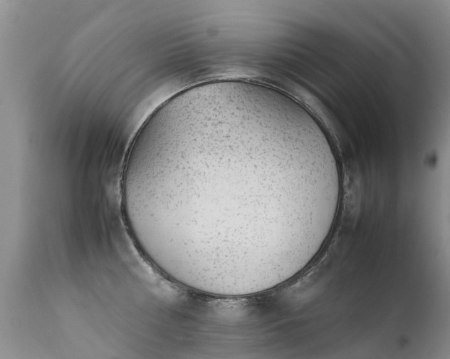 X0000112110810200908111441