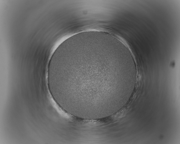 X0000112110811200908111441