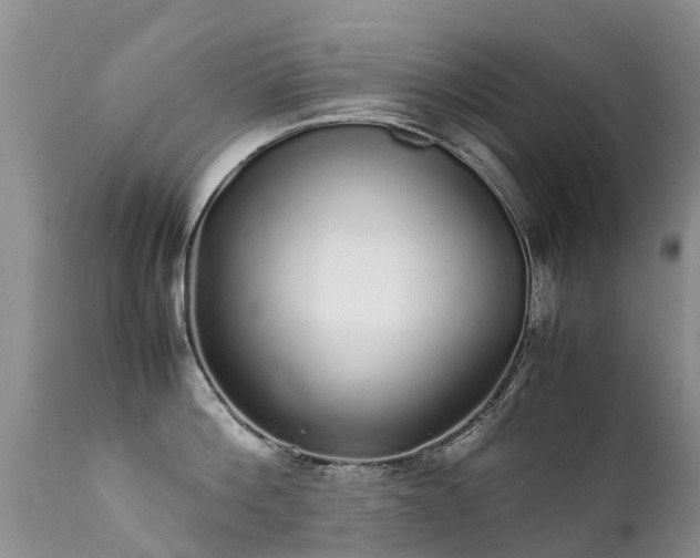 X0000112110812200908111441