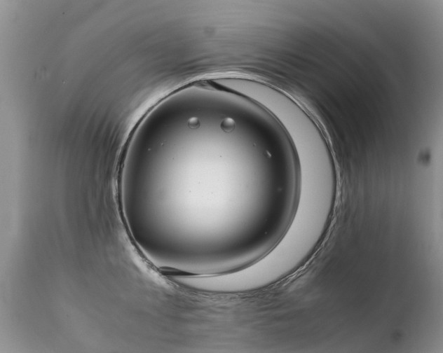 X0000112110813200908111441