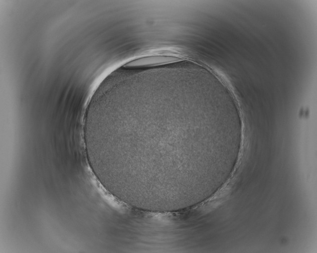 X0000112110816200908111441