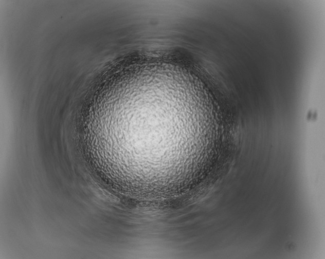 X0000112110817200908111440